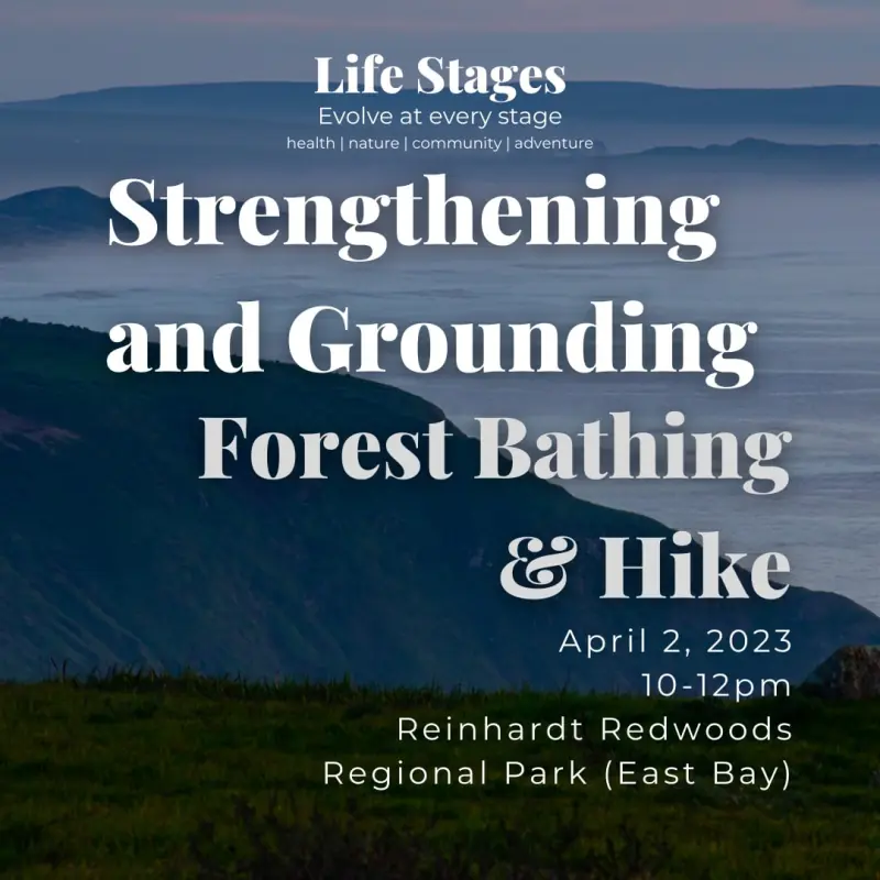 Event flyer for the Strengthening and Grounding Forest Bathing and Hike